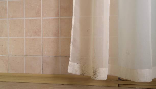 Best Mold Removal for HVAC Installations  in Mcallen, TX