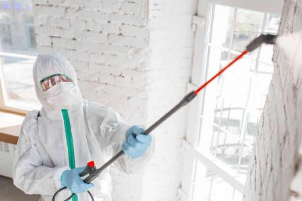 Best Mold Prevention Services  in Mcallen, TX